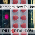 Kamagra How To Use 18